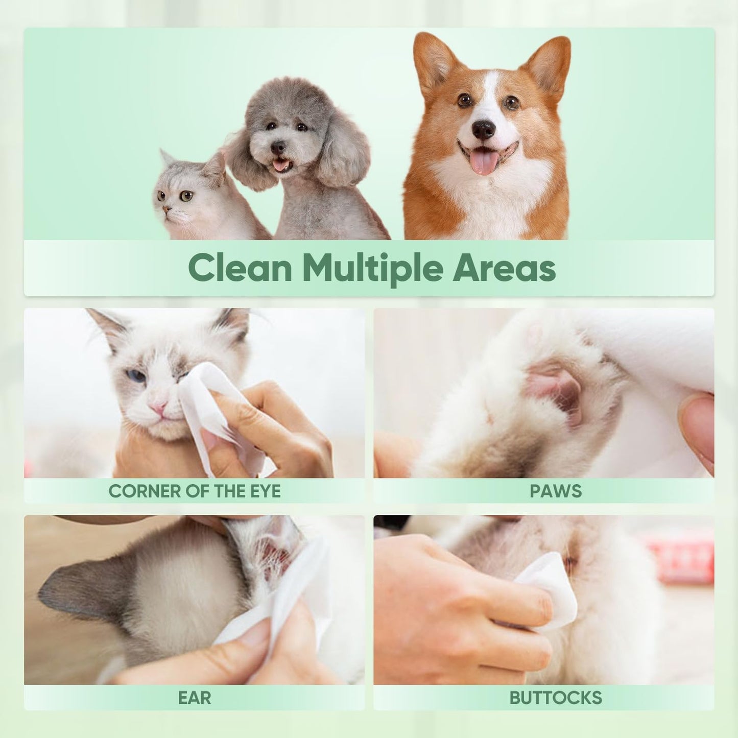 Pet Wipes for Dogs & Cats, Extra Moist & Thick Grooming Puppy Wipes, Aloe Vera/Nature